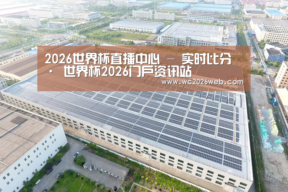 案例展示一