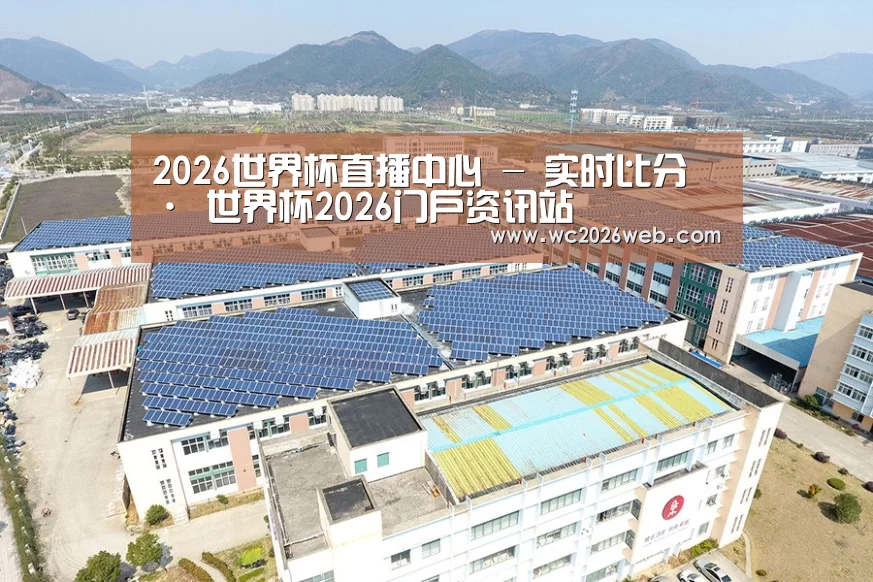 案例展示四