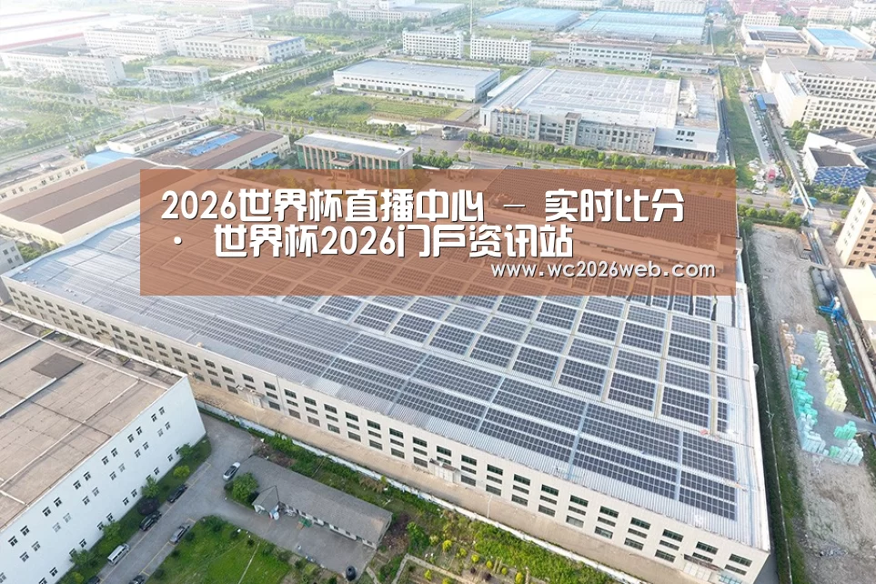 案例展示三