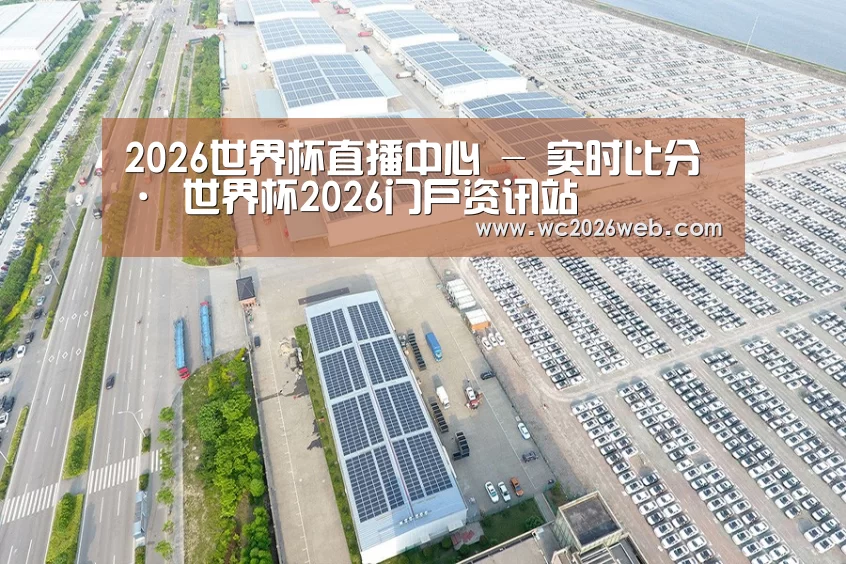 案例展示四