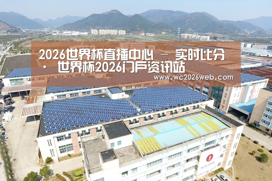 案例展示三