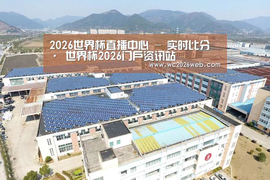 案例展示三
