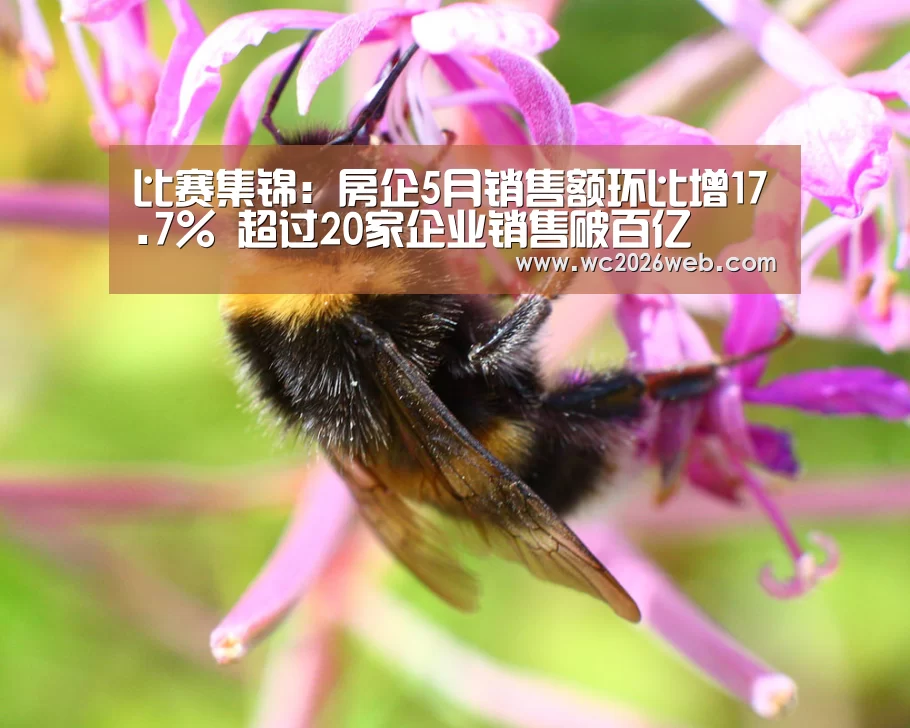 世界杯直播