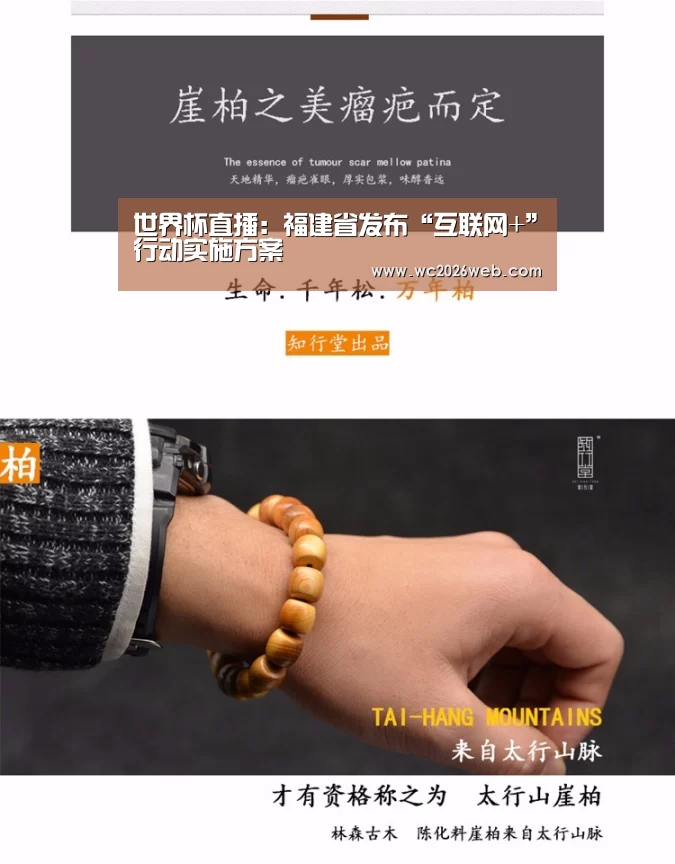 实时比分