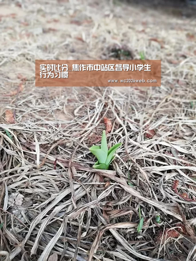 实时比分_焦作市中站区督导小学生行为习惯(图1) 世界杯