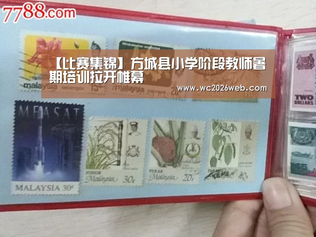 【比赛集锦】方城县小学阶段教师暑期培训拉开帷幕(图4) 世界杯