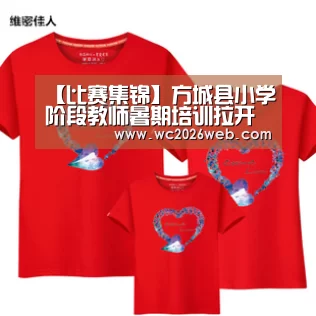 【比赛集锦】方城县小学阶段教师暑期培训拉开帷幕(图2) 比赛集锦