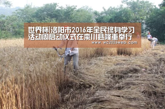 世界杯|洛阳市2016年全民终身学习活动周启动仪式在栾川县隆重举行(图2) 比赛集锦