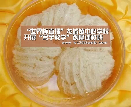 “世界杯直播”龙城镇中心学校开展“写字教学”观摩课教研活动(图3) 比赛集锦