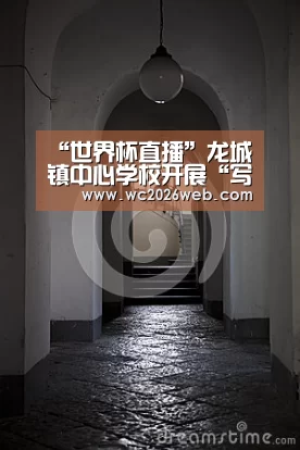 “世界杯直播”龙城镇中心学校开展“写字教学”观摩课教研活动(图4) 世界杯直播